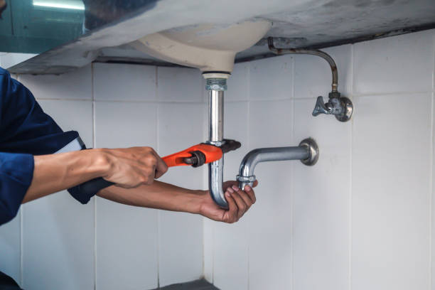 Best Affordable Plumber Near Me  in Tripoli, IA
