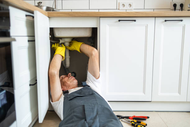Best Leak Detection Services  in Tripoli, IA