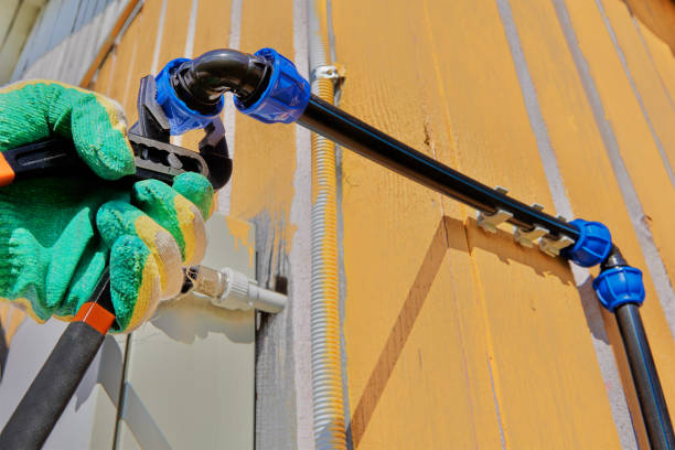 Best Pipe Repair Near Me  in Tripoli, IA